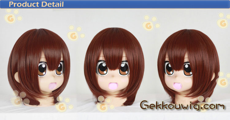  Brown Straight Wig